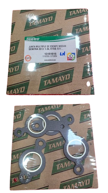 Junta Múltiple de Escape Tamayo